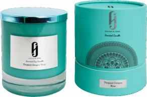 Tropical Dragon Fruit